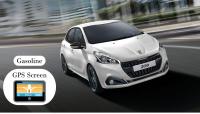 Group G (Peugeot 208 Or Similar) *Andros*